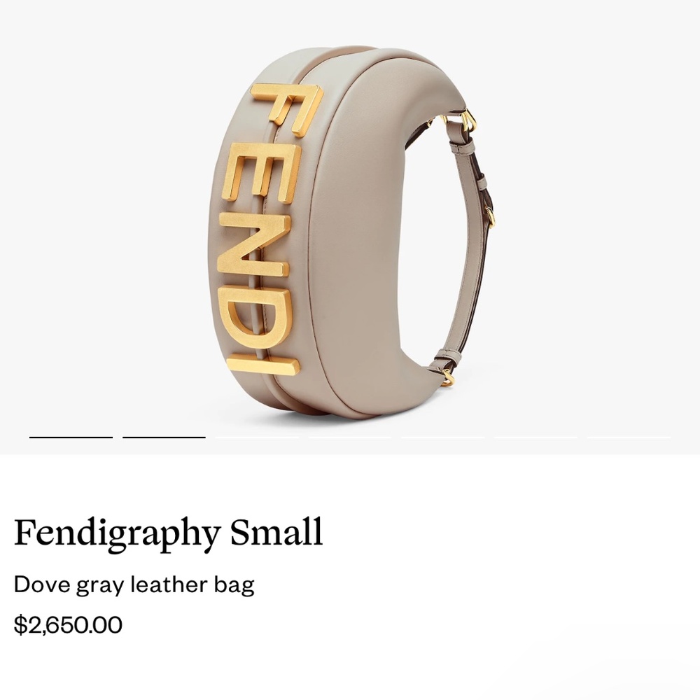 Fendigraphy hobo bag